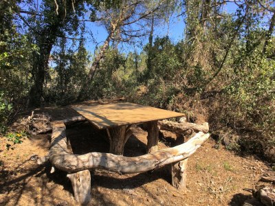 Holiday house Charm in Castagneto Carducci - Outdoor photo 40