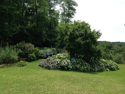 Holiday house Ferienhaus in Pescia mit privatem Pool - Outdoor photo 4