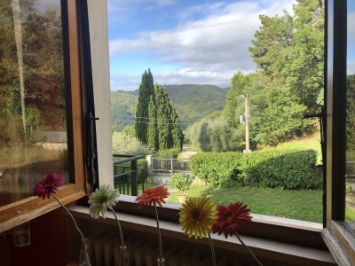 Holiday house Ferienhaus in Pescia mit privatem Pool - Outdoor photo 8