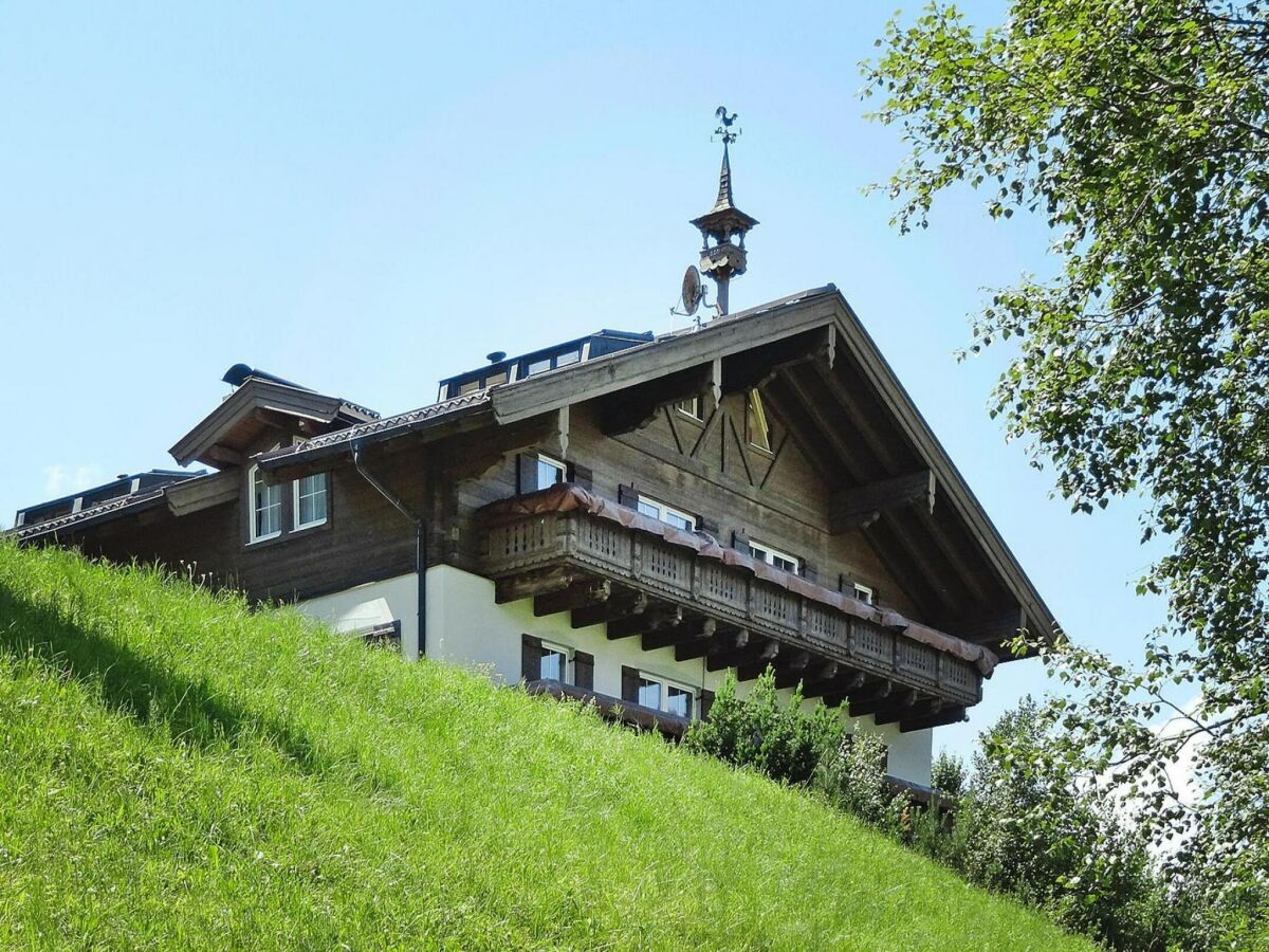 Apartment Chalet in Dienten mit Ski-In & Pool