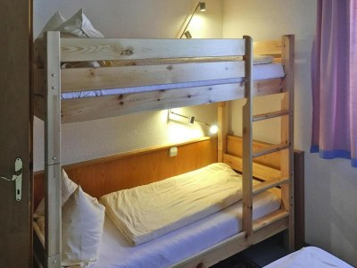 Apartment Chalet in Dienten mit Ski-In & Pool - Features photo 5