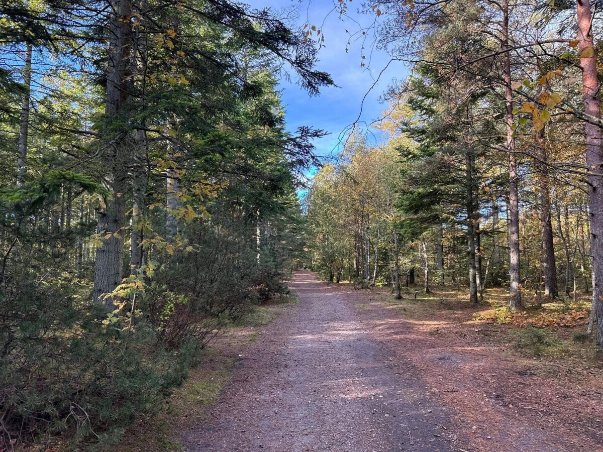 Holiday house 8 Personen Ferienhaus in Ålbæk-By Traum - Outdoor photo 5