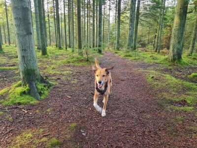 Holiday house 8 Personen Ferienhaus in Ålbæk-By Traum - Outdoor photo 20