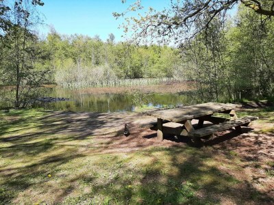 Holiday house 8 Personen Ferienhaus in Ålbæk-By Traum - Outdoor photo 28