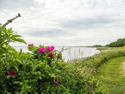 Holiday house 6 Personen Ferienhaus in Roslev-By Traum - Outdoor photo 14