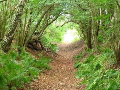 Holiday house 6 Personen Ferienhaus in Roslev-By Traum - Outdoor photo 15