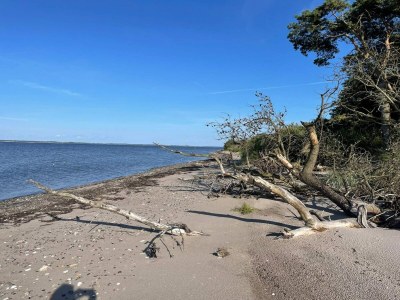Holiday house 6 Personen Ferienhaus in Roslev-By Traum - Outdoor photo 26