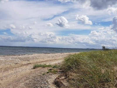 Holiday house 6 Personen Ferienhaus in Roslev-By Traum - Outdoor photo 29