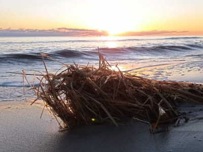 Holiday house 7 Personen Ferienhaus in Hals-By Traum - Outdoor photo 26
