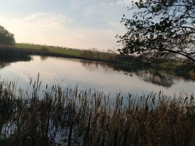 Holiday house 6 person holiday home in Løgstør-By Traum - Outdoor photo 13