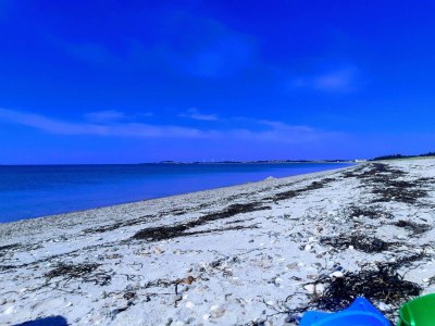 Holiday house 6 person holiday home in Løgstør-By Traum - Outdoor photo 16