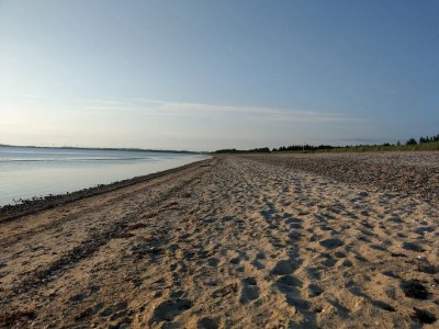 Holiday house 6 person holiday home in Løgstør-By Traum - Outdoor photo 19