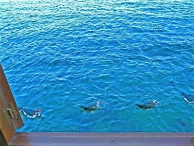 Cottage House in Combarro by the Sea - Environment photo 16