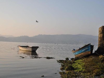 Cottage House in Combarro by the Sea - Environment photo 20