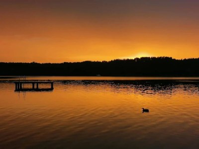 Holiday house Ferienhaus im skandinavischen Stil - Environment photo 27