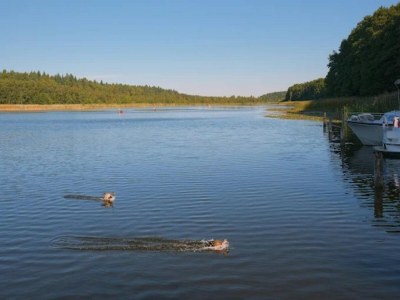 Holiday house Ferienhaus im skandinavischen Stil - Environment photo 36