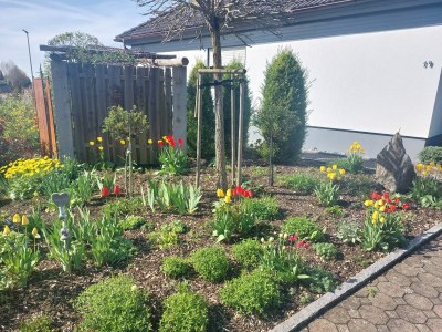 Holiday apartment Gerspacher - Outdoor photo 6