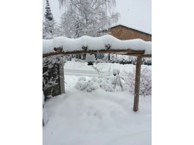 Holiday apartment Gerspacher - Outdoor photo 7