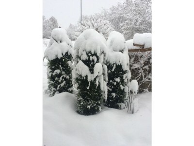 Holiday apartment Gerspacher - Outdoor photo 8