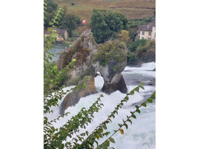 Holiday apartment Gerspacher - Environment photo 25