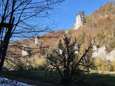 Holiday apartment Gerspacher - Environment photo 35