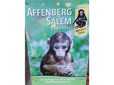 Holiday apartment Gerspacher - Environment photo 37