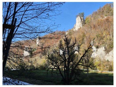 Holiday apartment Gerspacher - Document photo 46