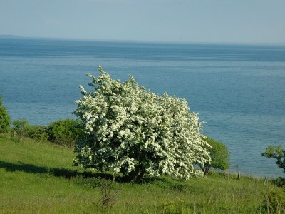 Holiday apartment Dünenhaus - Outdoor photo 7