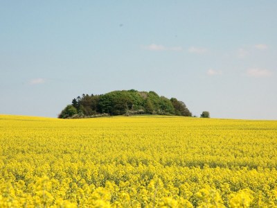 Holiday apartment Dünenhaus - Environment photo 34