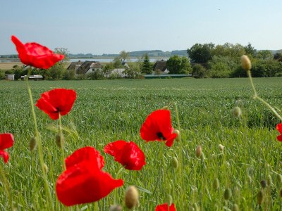 Holiday apartment Dünenhaus - Environment photo 35
