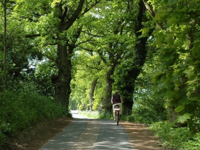 Holiday apartment Dünenhaus - Environment photo 36