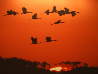 Holiday apartment Dünenhaus - Environment photo 37