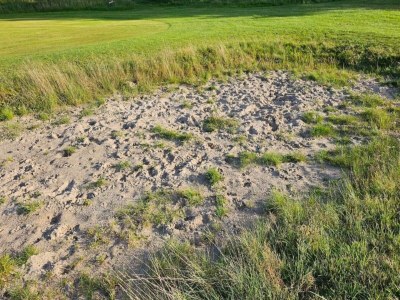 Holiday house Modernes Refugium in Arrild -- By Traum Ferienwohnungen - Outdoor photo 15