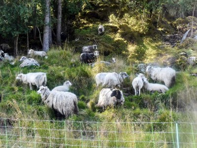 Holiday house 7 person holiday home in VÅGLAND - Outdoor photo 22