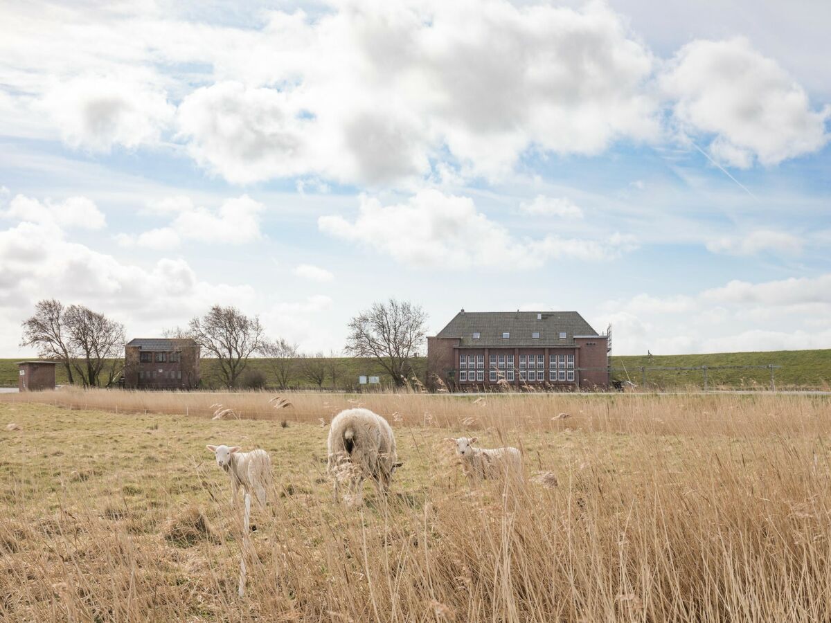 Apartment Exklusive Wohnung auf dem Deich an der Nordsee - Outdoor photo 3