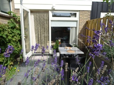 Holiday apartment Mooy aan Zee in Callantsoog - Holiday apartment