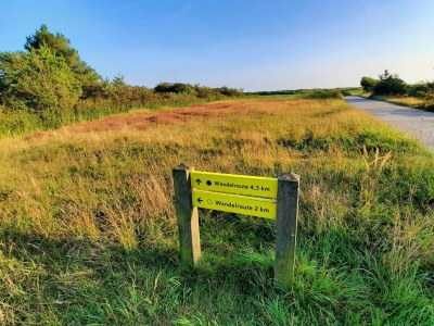 Holiday apartment Mooy aan Zee - Environment photo 20