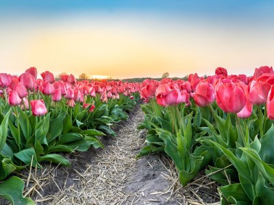 Holiday apartment Mooy aan Zee - Environment photo 22