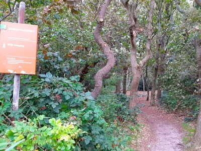 Holiday apartment Mooy aan Zee - Environment photo 24