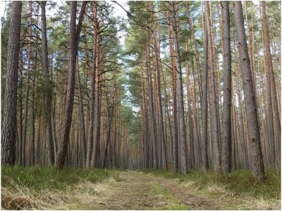 Holiday house Siebenschläferhaus - Environment photo 35