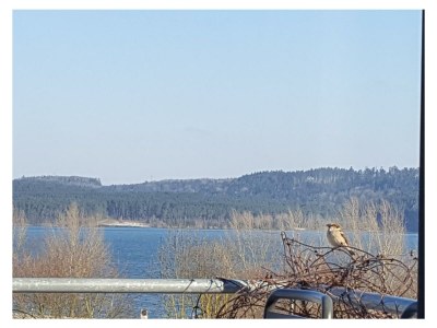 Holiday house Siebenschläferhaus - Environment photo 40