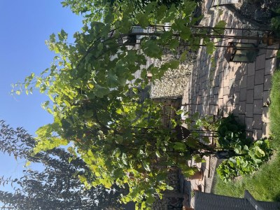 Apartment 2-Bett-Ferienwohng.Dusche und Bad, 1 Schlafzimmer - Outdoor photo 3