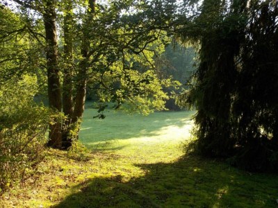 Holiday park Apartment in Netherlands near Scenic Views - Environment photo 10