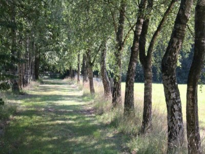Holiday park Apartment in Netherlands near Scenic Views - Environment photo 11