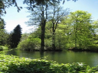 Holiday park Apartment in Netherlands near Scenic Views - Environment photo 17