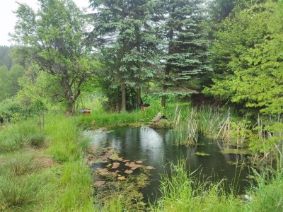 Holiday park Apartment in Netherlands near Scenic Views - Environment photo 21