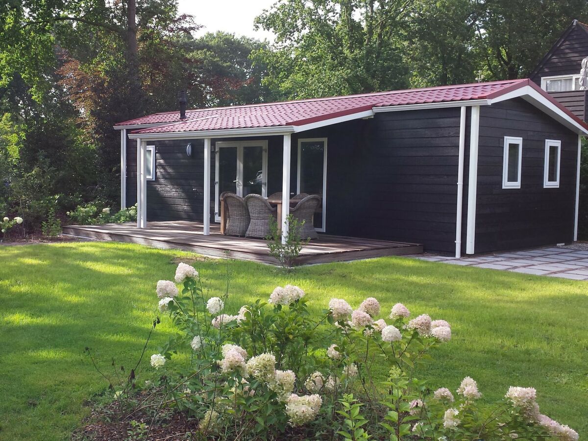 Holiday park Ruhiges Waldchalet - Outdoor photo 3