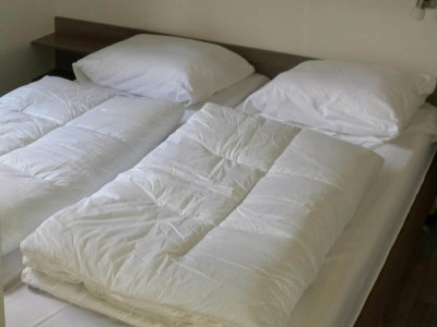 Holiday park Ruhiges Waldchalet - Features photo 6