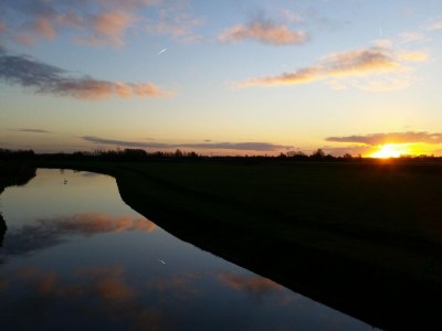 Holiday park Ruhiges Waldchalet - Environment photo 17