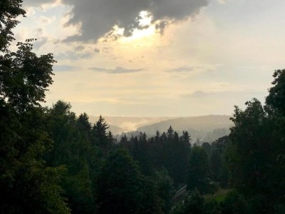 Holiday park Ruhiges Waldchalet - Environment photo 23